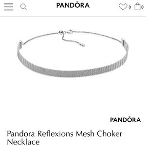 Pandora Reflexions Mesh Necklace